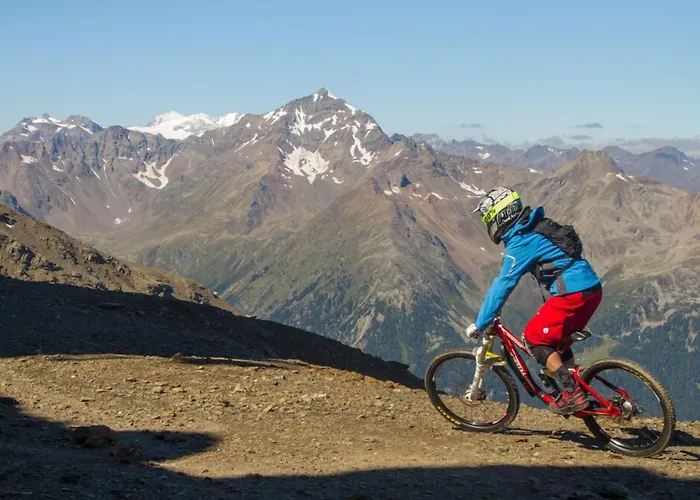 Отель Olimpia 4*